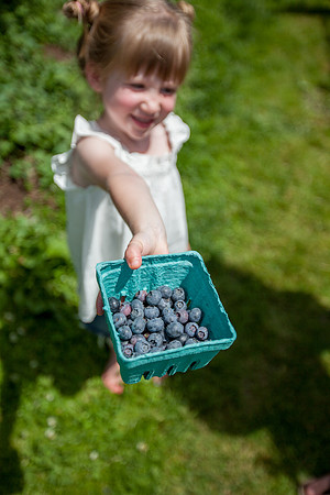 Conway Family_2013 Berry Picking_164 FOR PRINT