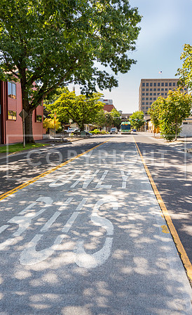 Eugene_BRT Downtown_Photo 06_200dpi