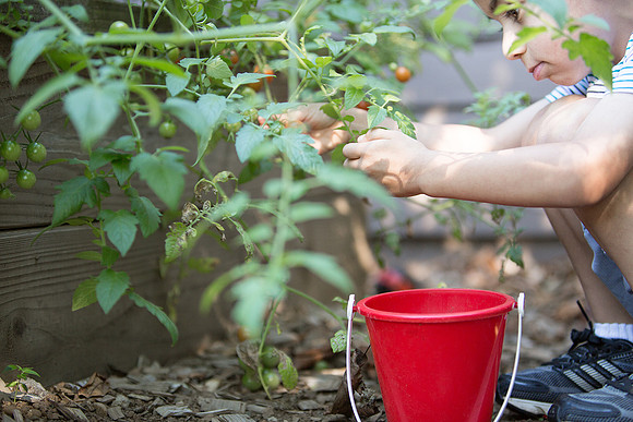 Esteban Family_Diego 1 Year Old_Fall 2014_135_for website 1550px