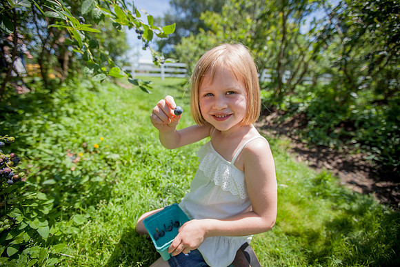 portland-family-portraits-parallel-photography 41