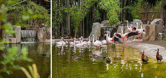 Diptych 1_Flamingo Exhibit 2_950px
