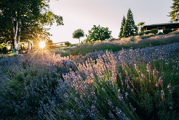 015 Sarah and Sean Maternity_by Erin Riddle 2021