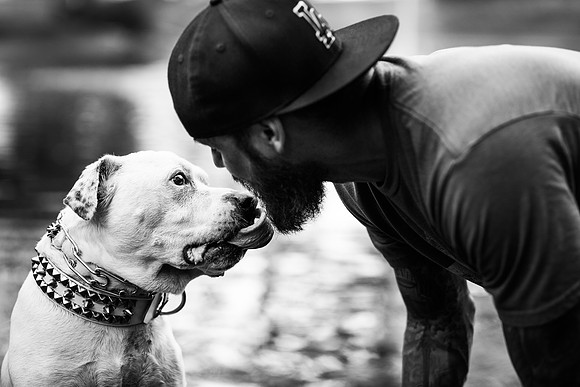 Dozer_July 2017_Photo 24