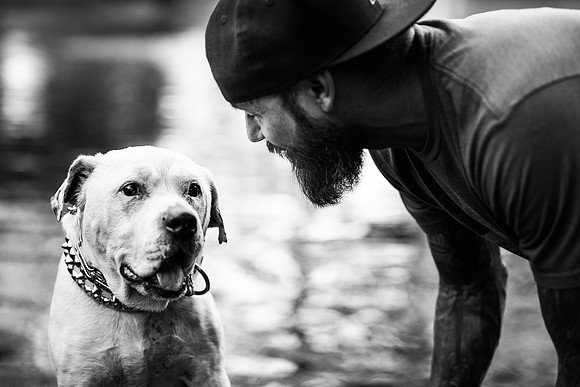 Dozer_July 2017_Photo 26