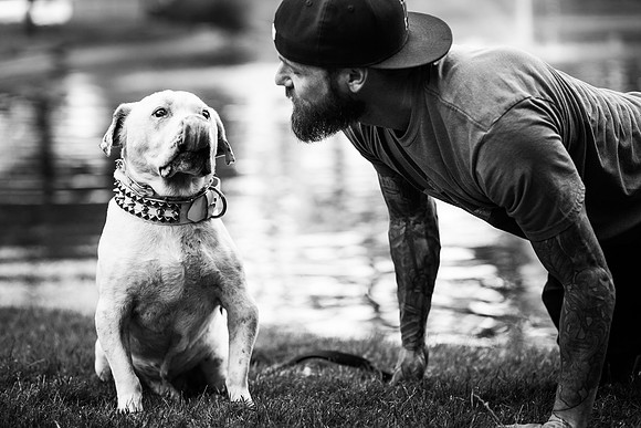 Dozer_July 2017_Photo 34