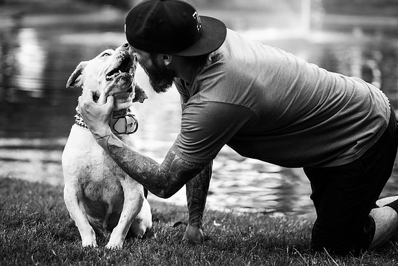 Dozer_July 2017_Photo 36