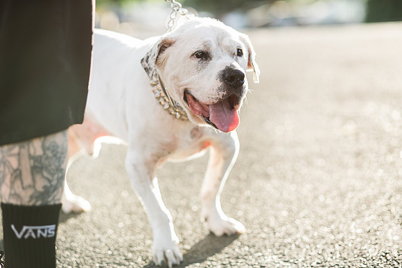 Dozer_July 2017_Photo 45
