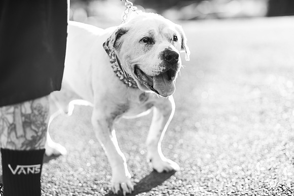Dozer_July 2017_Photo 46