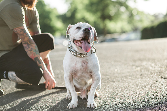 Dozer_July 2017_Photo 47