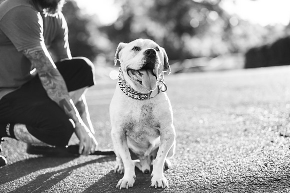 Dozer_July 2017_Photo 48