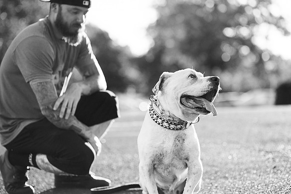 Dozer_July 2017_Photo 50
