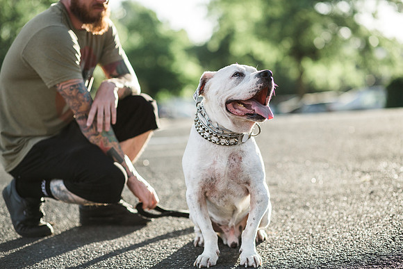 Dozer_July 2017_Photo 51