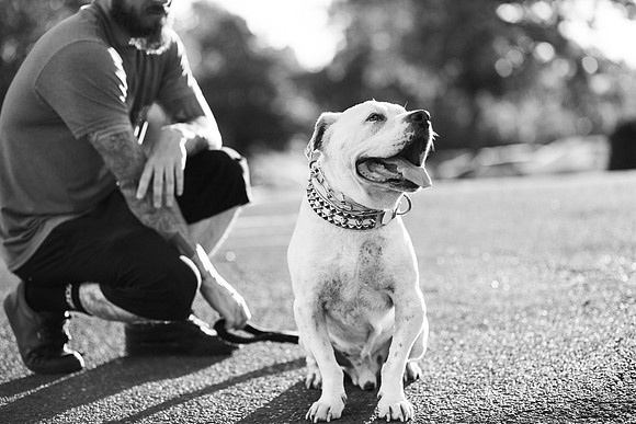 Dozer_July 2017_Photo 52
