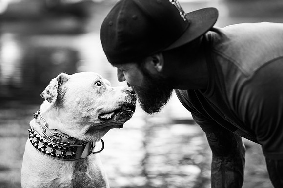 Dozer_July 2017_Photo 22_web res