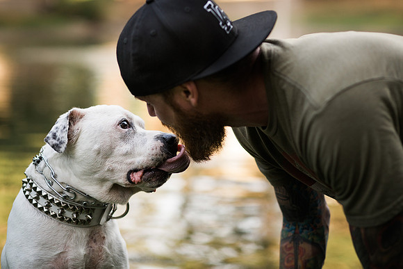 Dozer_July 2017_Photo 23_web res