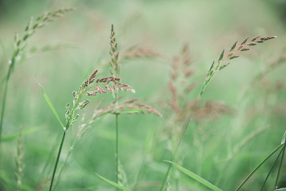 Sarah & Sean Engagement Session 001