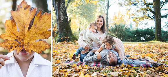 2017 Mini Session advertisement