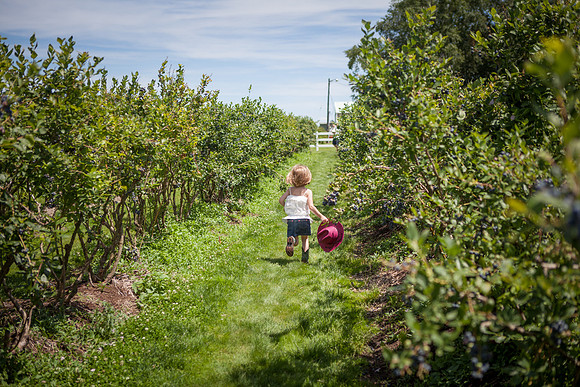 portland-family-portraits-parallel-photography 43