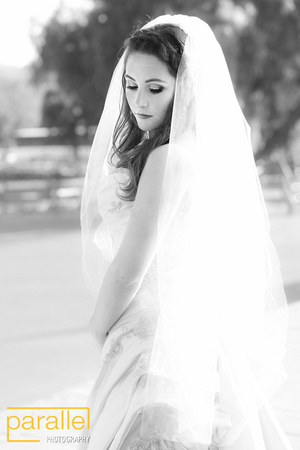 Ann and Barry Wedding_TEASERS 05