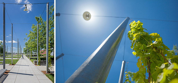 Diptych 1_Silverton High School Lighting_950px