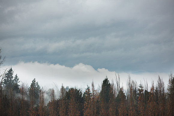 Genevieve and Kent_Wedding Photos_PRINT 002