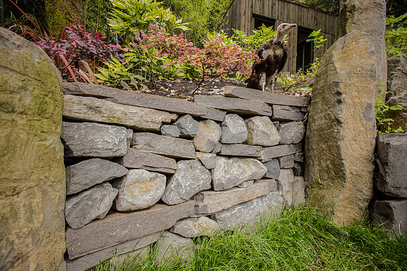 Test-Height-Parallel-Photography-2013_03