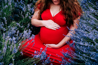 Ferguson Family - Maternity Session