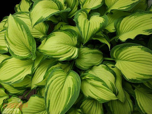 exterior best of 01 for print_email