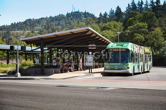 Springfield_Springfield Transit Center_Photo 05_200dpi