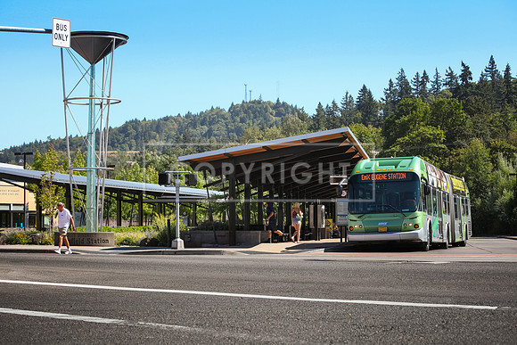 Springfield_Springfield Transit Center_Photo 06_200dpi