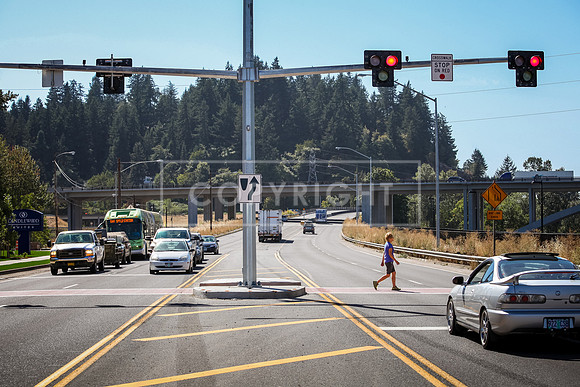 Springfield_Pedestrian Flasher_Photo 02_200dpi